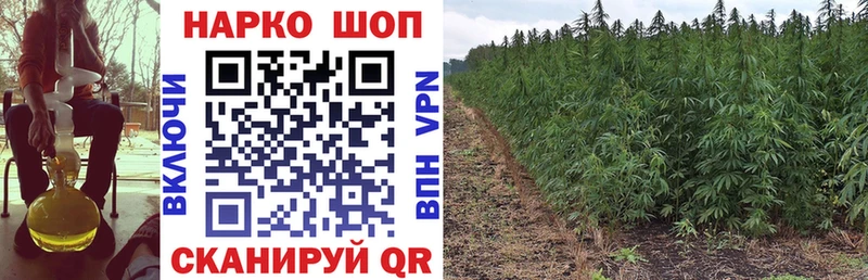 Бошки Шишки Анадырь