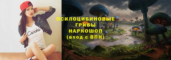 скорость Корсаков