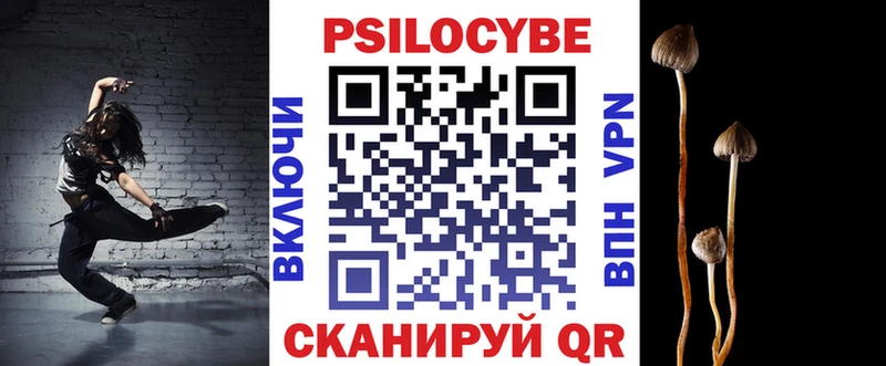 Псилоцибиновые грибы MAGIC MUSHROOMS  Купить закладки  Анадырь 