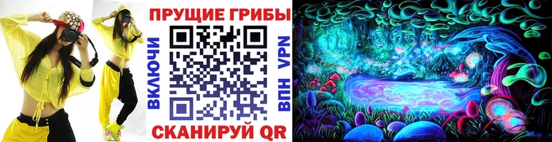 Галлюциногенные грибы Psilocybine cubensis Анадырь